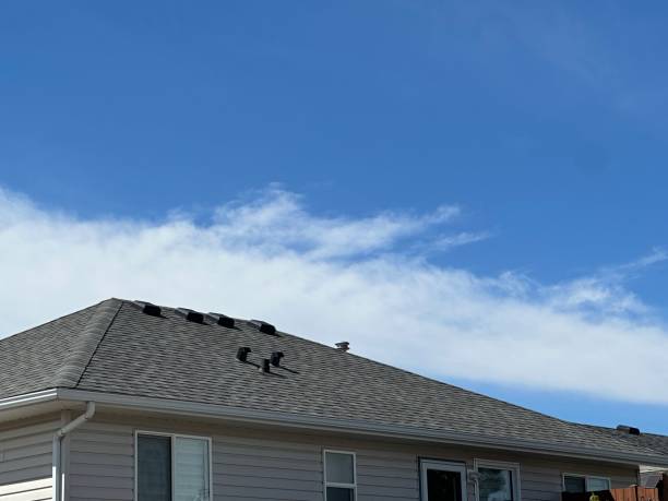 Best Cold Roofs  in Endicott, NY